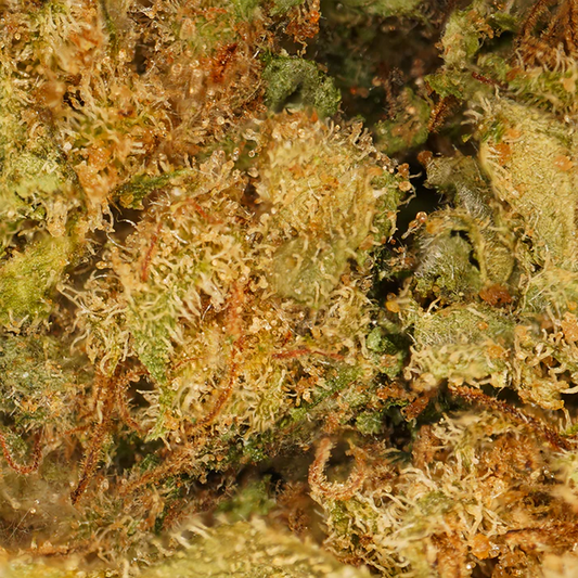 Hemp flowers Gelato CBD 9%