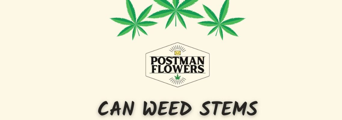 Can weed stems get you high