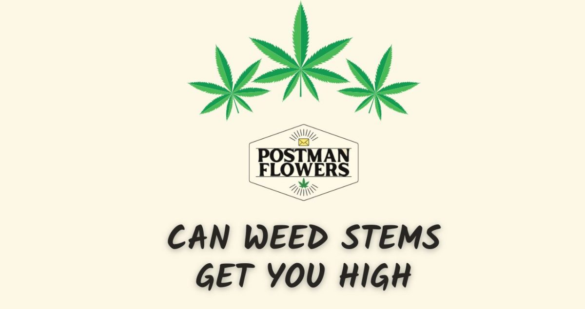 Can Weed Stems Get You High ?