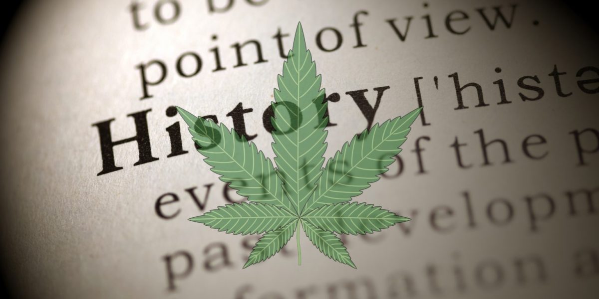 Do you know the origin of the cannabis plant?